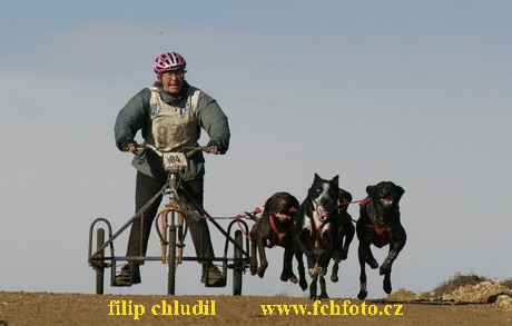 Bakonybel - 0604.JPG